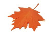 Подпорка для двери autumn оранжевая