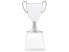Кубок "Champion"