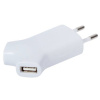 Сетевое зарядное устройство с двумя USB-выходами