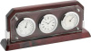 Часы с термометром и гигрометром (A9256R)