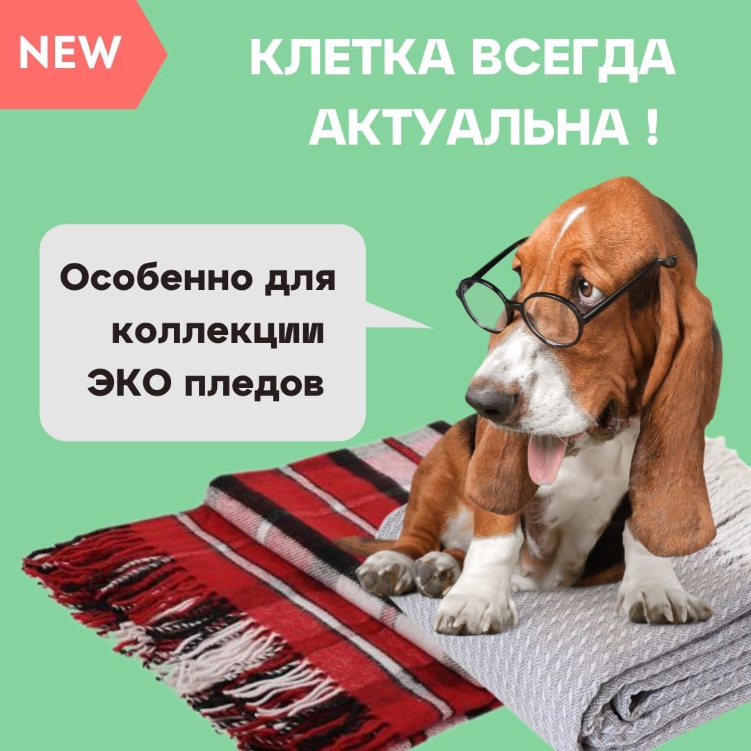 Новая коллекция ЭКО пледов: пледы из хлопка и натуральной шерсти.