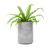 Кашпо из бетона Cylinder 205 Flower pots