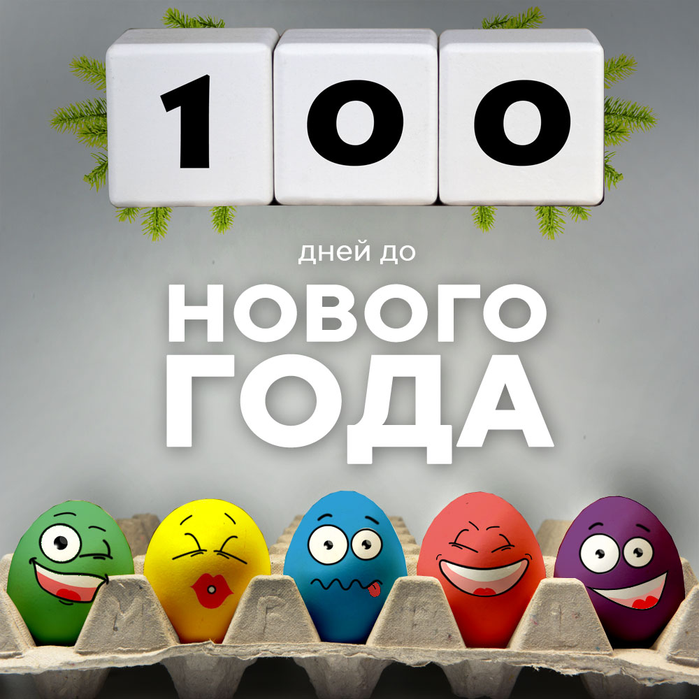 До нового года 100 дней !
