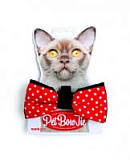Галстук-бабочка для домашних питомцев pet bow