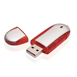 Флешка PM004 4 гб. USB 2.0 (Красный)