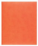 Еженедельник Lediberg, блок 726, модель Туксон, размер 210х260 мм