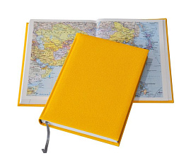 Ежедневник Lediberg Delhi жёлтый (жёлтый)