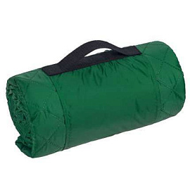 Плед для пикника Comfy, 115х140 см (Зелёный)