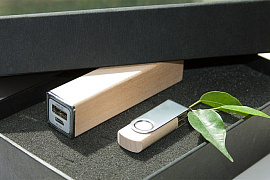 Набор Nemory белый: power bank на 2600 mah, флешка 16 гб (Бежевый)