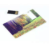 USB-Flash накопитель (флешка) в виде пластиковой карты со съёмным чипом, модель card3, объем памяти 