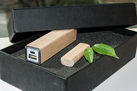 Набор ЭКО LONG черный: power bank на 2600 mah, флешка 64 гб (Бежевый)