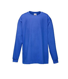 Детская футболка FOTL Valueweight T long sleeve (Ярко-синий)