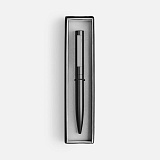 Ручка шариковая Inkolor в футляре