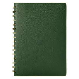 Ежедневник Portobello Trend, Vista, недатированный (Зеленый)
