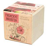 Набор для выращивания "Экокуб. Гибискус Махагон"