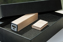 Эко-подарок new : power bank на 2600 mah, флешка 64 гб (Бежевый)