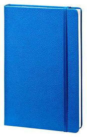 Записная книжка (бренд InFolio) коллекция "Lifestyle", формат A5, переплёт твердый с резинкой (Синий)