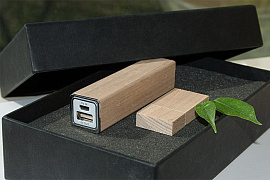 Набор ЭКО KWADS черный: power bank на 2600 mah, флешка 32 гб (Бежевый)