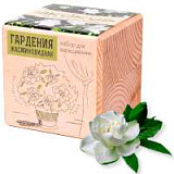 Набор для выращивания "Экокуб. Гардения жасминовидная"