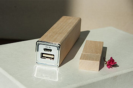 Эко набор SEO черный : power bank на 2600 mah, флешка 32 гб (Бежевый)