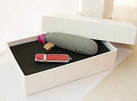Набор 6. Power bank /флешка 8 гб (Красный)