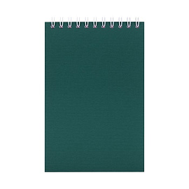 Блокнот Nettuno Mini в линейку (Зелёный)