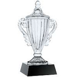 Кубок Regal