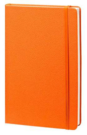 Записная книжка (бренд InFolio) коллекция "Lifestyle", формат A5, переплёт твердый с резинкой (Оранжевый)