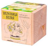 Набор для выращивания "ЭкоКуб. Шелковица Белая"