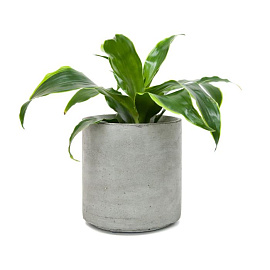 Кашпо из бетона Cylinder 155 Flower pots (Светло-серый)