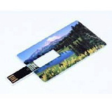 USB-Flash накопитель (флешка) в виде кредитной карты, модель card1, объем памяти  4 Gb