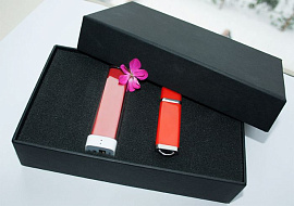 Набор 4.  красный цвет. Power bank и флешка 16 гб, (Красный)