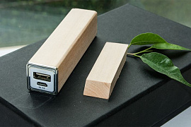 Набор белый с зарядным устройсвом ЭКО+ : power bank на 2600 mah, флешка 4 гб (Бежевый)