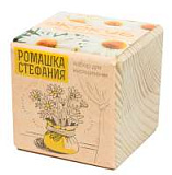 Набор для выращивания "Экокуб. Ромашка Стефания"