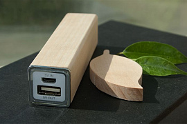 Подарочный черный эко набор с флешкой-листиком: power bank на 2600 mah, флешка 64 гб (Бежевый)