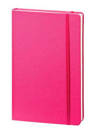 Записная книжка (бренд InFolio) коллекция "Lifestyle", формат A5, переплёт твердый с резинкой (Бирюзовый)