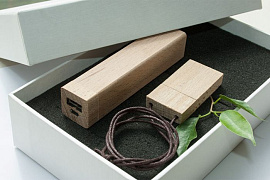 Готовый эко-набор белый : power bank на 2600 mah, флешка 8 гб (Бежевый)