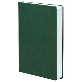 Ежедневник недатированный Basis, A5 (Зелёный)
