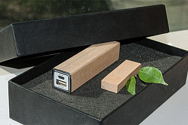 Эко набор SEO черный : power bank на 2600 mah, флешка 32 гб (Бежевый)