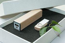 Набор Nemory белый: power bank на 2600 mah, флешка 16 гб (Бежевый)