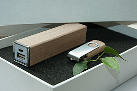 Набор Nemory белый: power bank на 2600 mah, флешка 16 гб (Бежевый)
