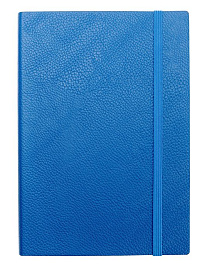 Ежедневник недатированный (бренд InFolio) коллекция Prime, формат A5 (Синий)