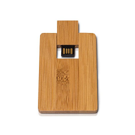Флешка DR027 (светлый) с чипом 4 гб. USB 2.0 (Бежевый)