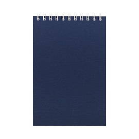 Блокнот Nettuno Mini в клетку, черный (синий)