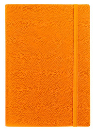 Ежедневник недатированный (бренд InFolio) коллекция Prime, формат A5 (Оранжевый)