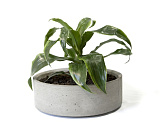 Cylinder 95 Flower pots