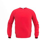 Толстовка мужская 53 Sweatshirt
