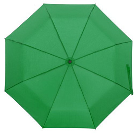 Зонт складной Monsoon (Зелёный)