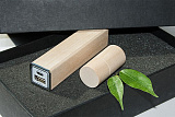 Эко набор в подарочной упаковке черный: power bank на 2600 mah, флешка 16 гб