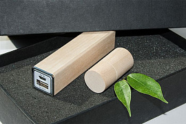 Эко набор в подарочной упаковке черный: power bank на 2600 mah, флешка 16 гб (Бежевый)